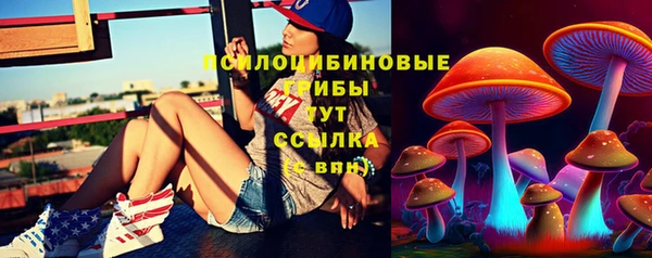 прущие крисы Алзамай